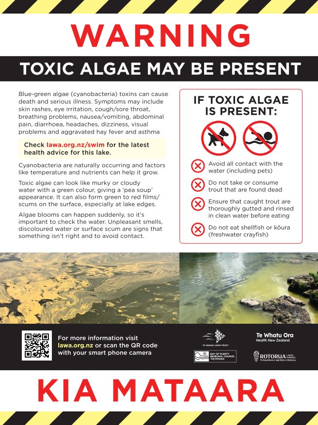 SunLive - New Toxic Algae Signage At Rotorua Lakes - The Bay's News First